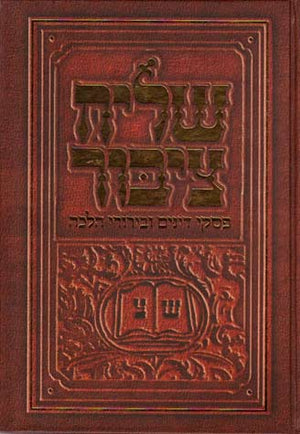 Shliach Tzibur (Hebrew)