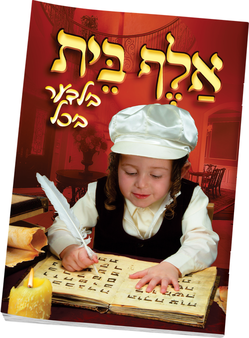 Alef Bais Picture Book S/C