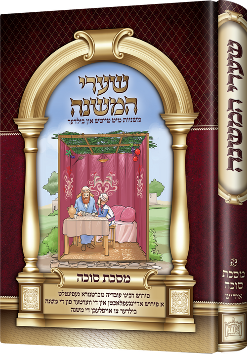 Mishnayos Sukkah (Picture)