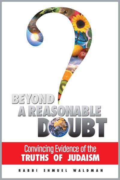 Beyond a Reasonable Doubt (Paperback)