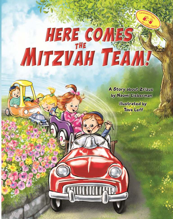 Here Comes the Mitzvah Team