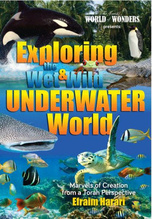 Exploring the Wet and Wild Underwater World