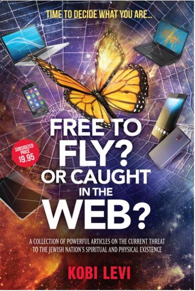 Free to Fly? Or Caught in the Web?