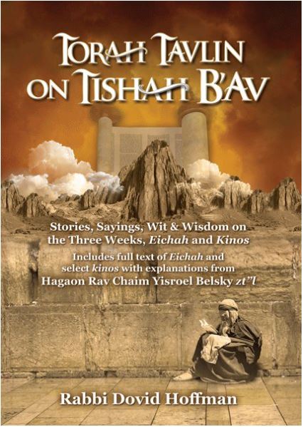 Torah Tavlin on Tisha B'av