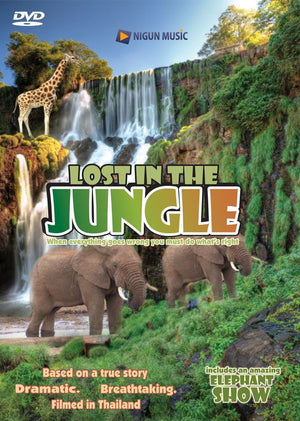 Lost In The Jungle