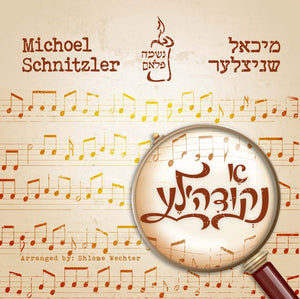 Michoel Schnitzler A Nikudele CD