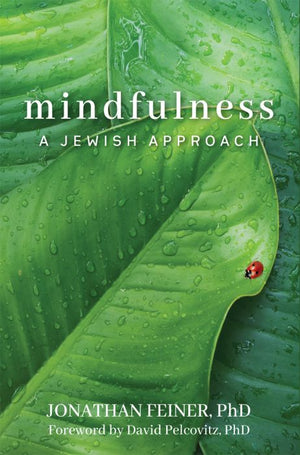 Mindfulness: A Jewish Approach (hard)
