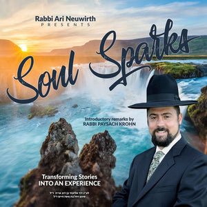 Soul Sparks Ari Neuwirth CD