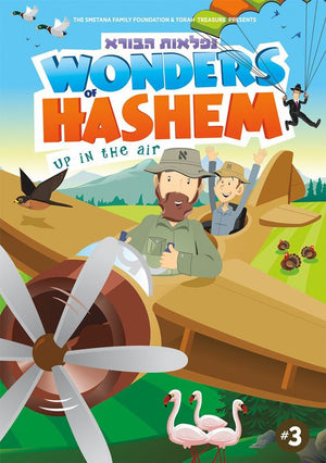 Wonders Of Hashem Up In The Air