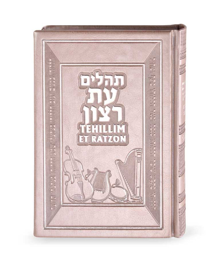 Tehillim with English translation  silver