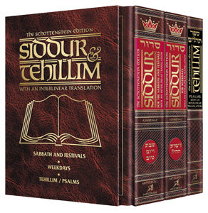 Siddur & Tehillim - Schottenstein Interlinear Translation - 3 Vol Slipcased Set