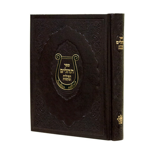 Tehillim With Tfilos Ibakushos - Hard Cover