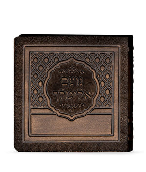 No’am Elimelech leather Bronze