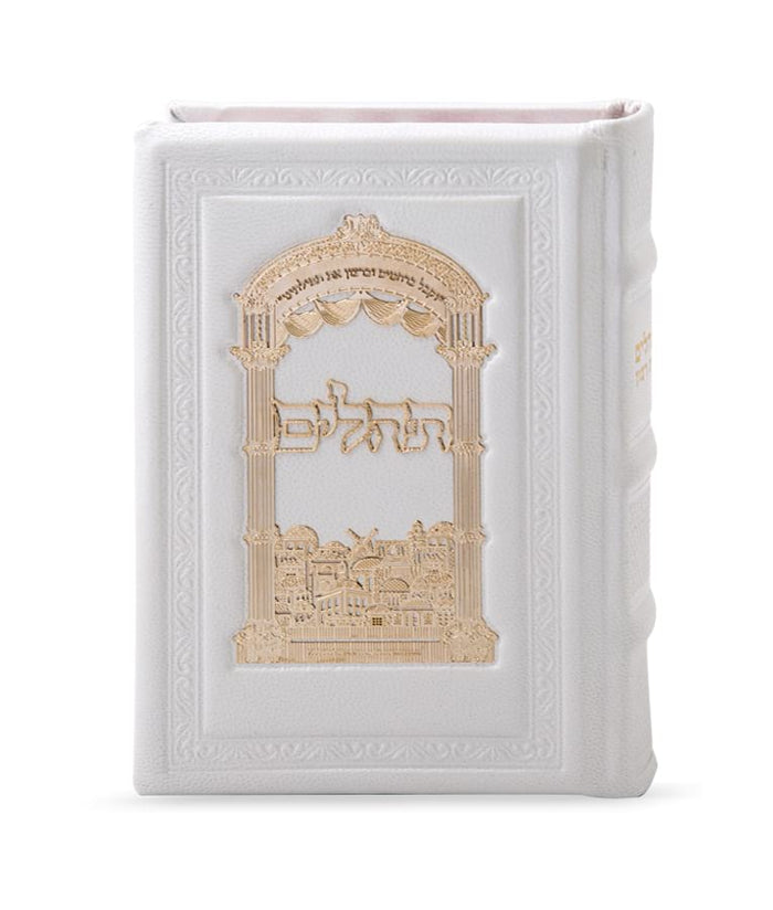 Leather Tehillim Large Sized with Gold Plaque White