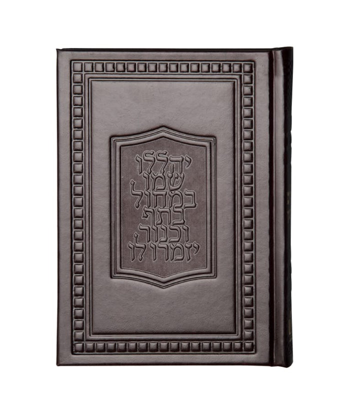 Tehillim Sapir series recycled leather Brown