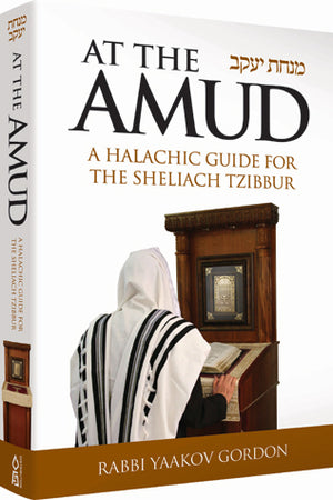 At the Amud, Laws for Shliach Tzibur