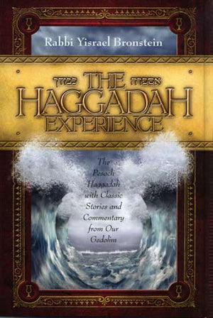 Haggadah Experience