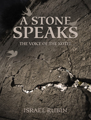 A Stone Speaks