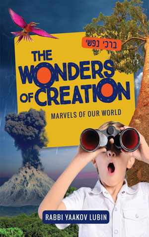 The Wonders of Creation