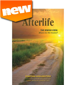 Afterlife, The Jewish View (hardcover)